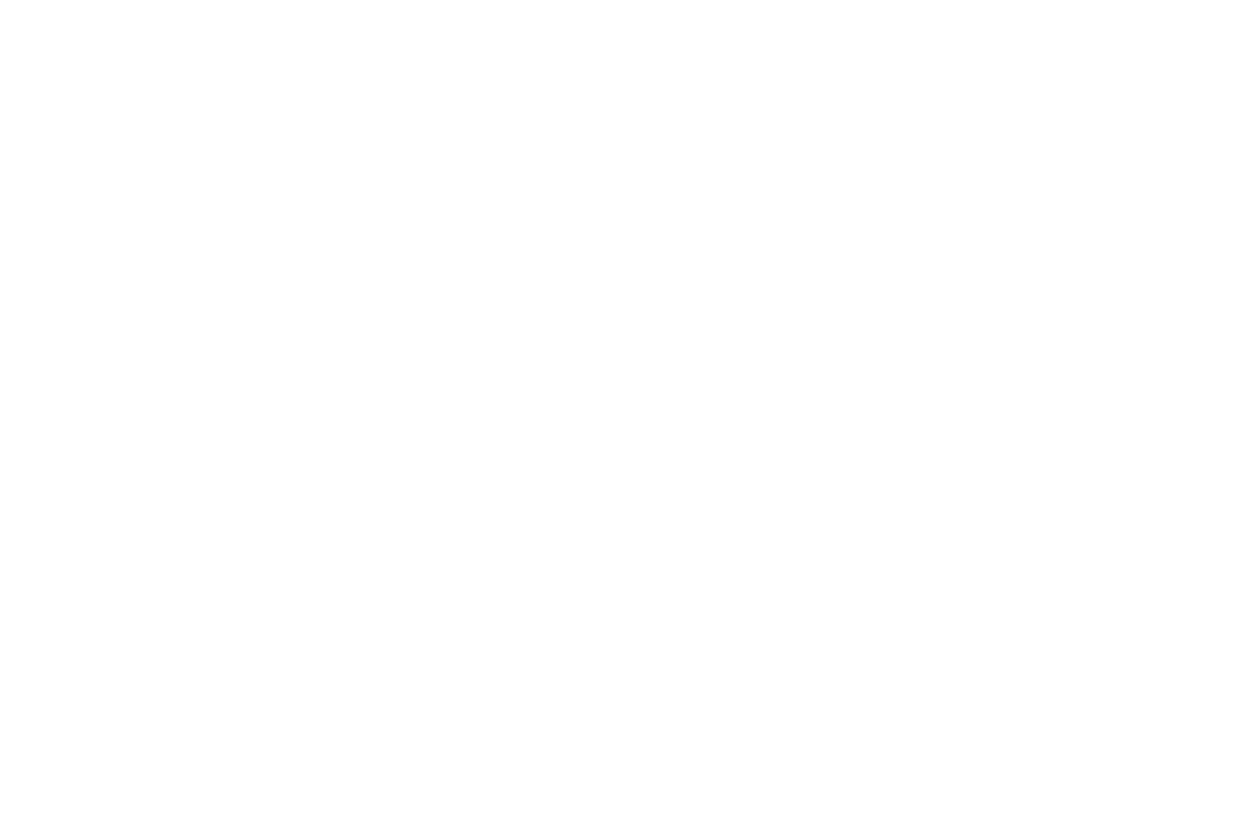 Action Elite